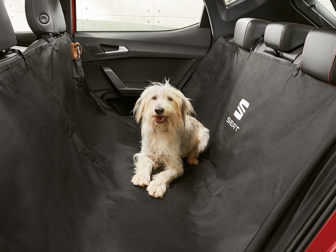 Dog sitting comfortably on a protective seat cover inside the seat leon sportstourer.