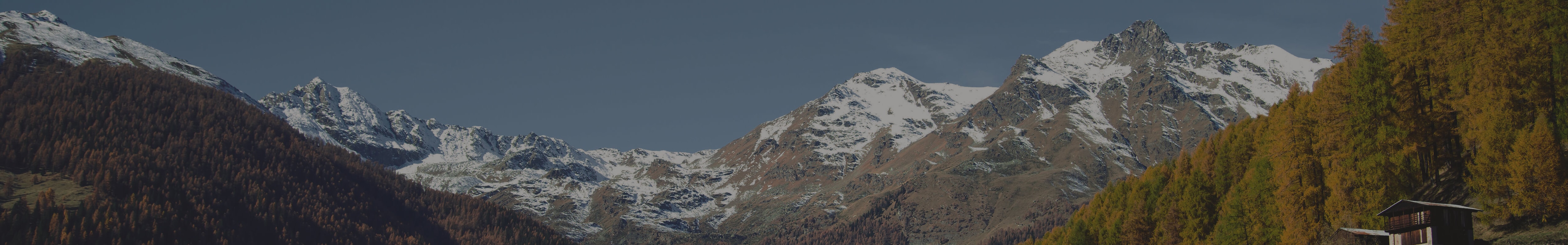 Modern Slavery Act Statement